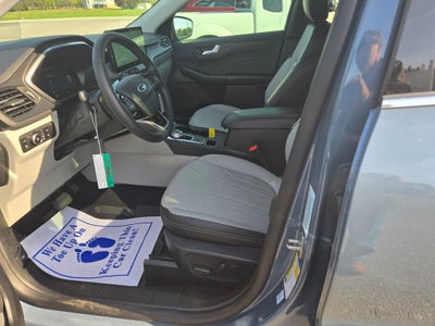 2026 Ford Escape Plug-In Hybrid Plug-in Hybrid